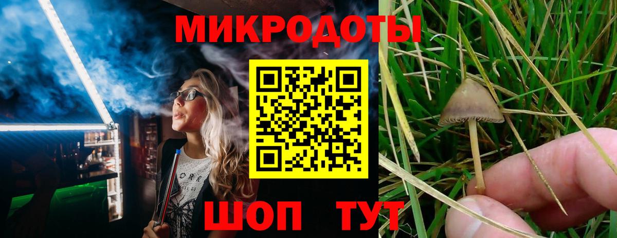 Лениногорск  Галлюциногенные грибы Magic Shrooms  Вход с VPN 
